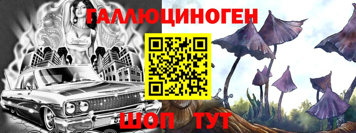 Елизово  Галлюциногенные грибы Cubensis  Вход с VPN 